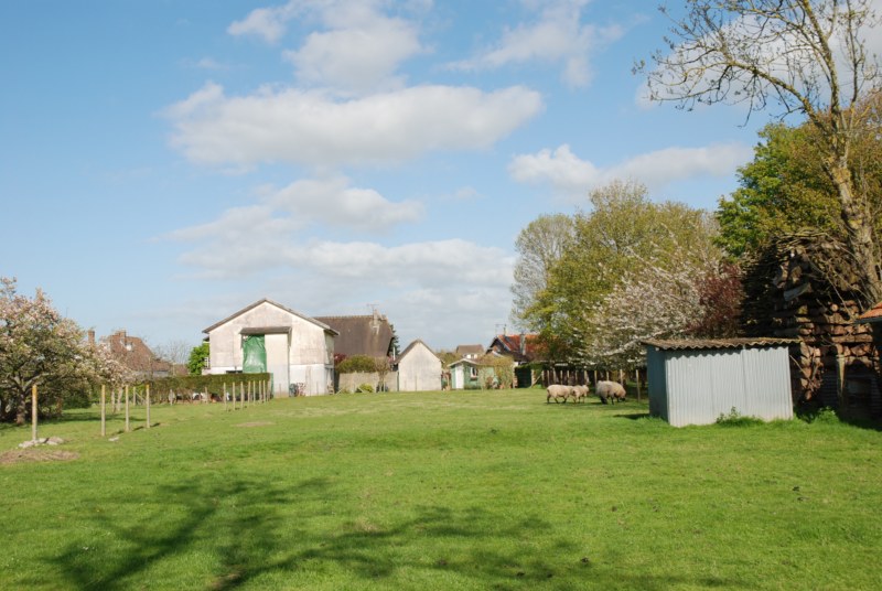 ACHAT VENTE PARCELLE CONSTRUCTIBLE BERNEVAL LE GRAND_3