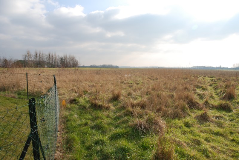 TERRAIN A BATIR SORTIT DIEPPE A GREGES_3