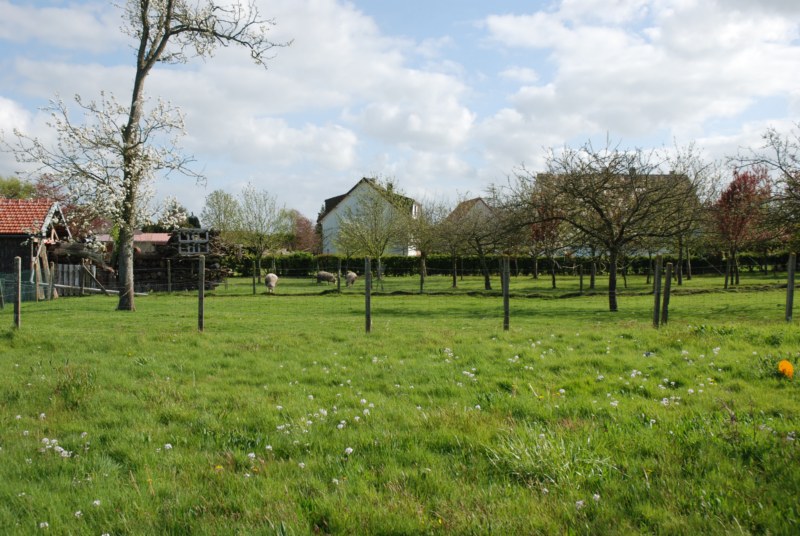 BERNEVAL DE GRAND PARCELLE DE TERRAIN A VENDRE_2