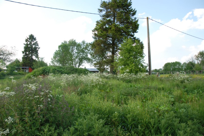 TERRAIN A BATIR 5 KM DE NEUFCHATEL EN BRAY
