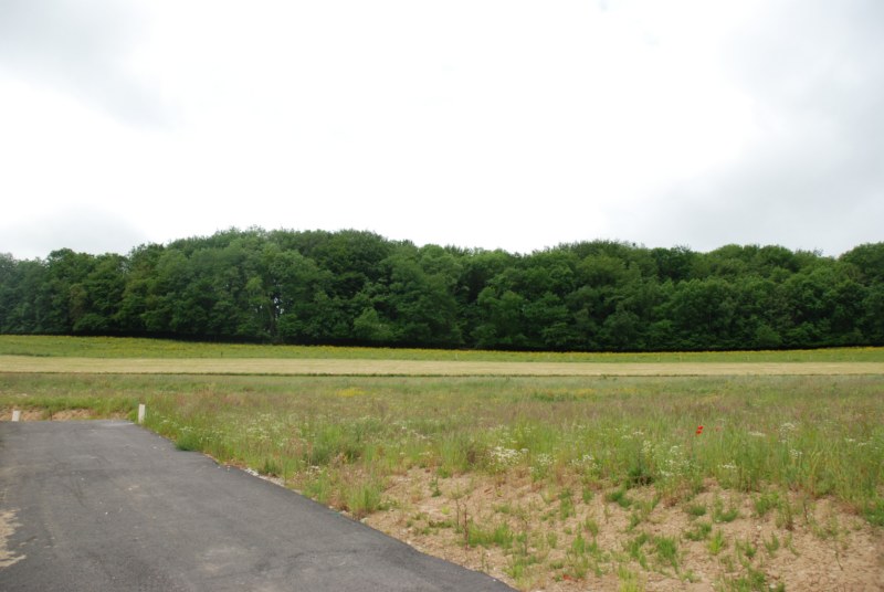 5 PARCELLES DE TERRAIN A BATIR ST HELLIER