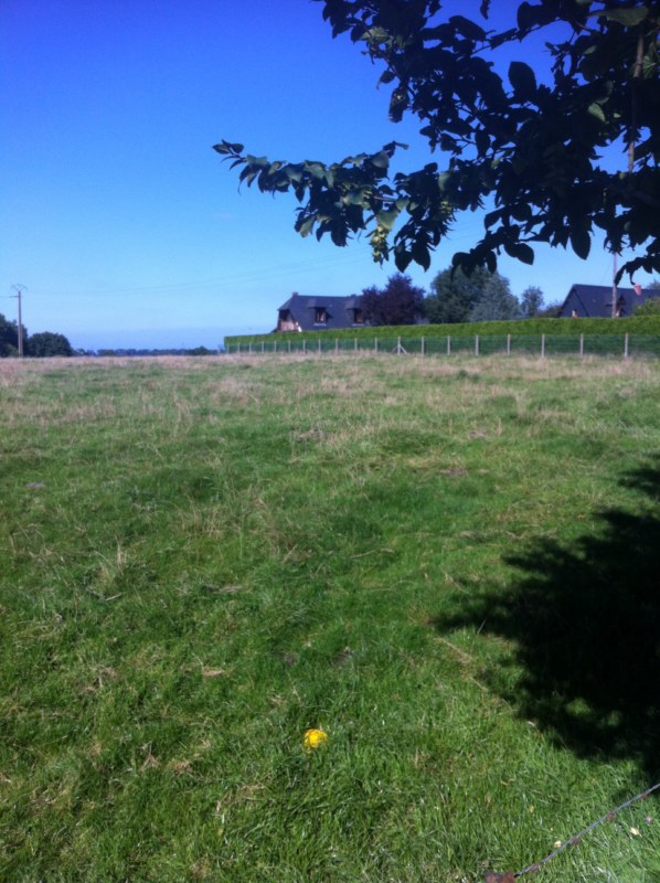 PARCELLE DE TERRAIN CONSTRUCTIBLE DIEPPE PROCHE BACQUEVILLE EN CAUX