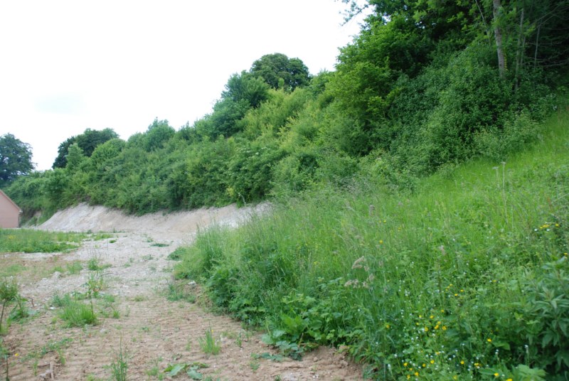 TERRAIN CONSTRUCTIBLE A ST HELLIER PROCHE MUCHEDENT