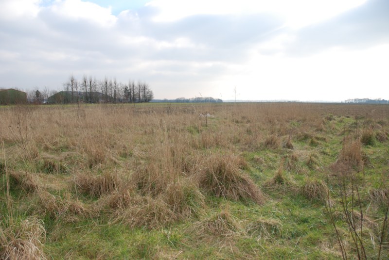 Nos prestations sur le secteur de Neufchâtel-en-Bray 76 en Normandie