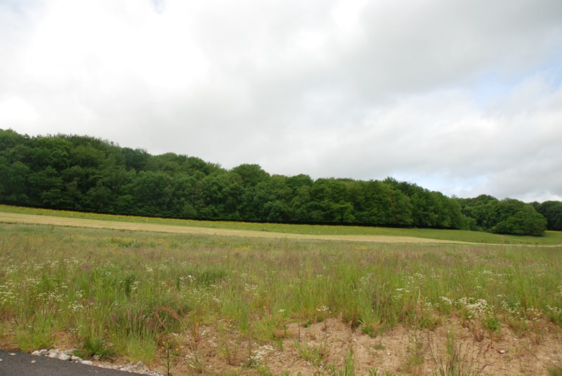 Notre zone d'activité pour ce service Investir dans une construction neuve à