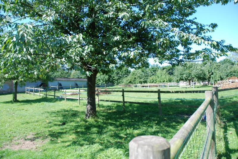 Nos prestations sur le secteur de Fécamp 76 en Seine-Maritime 