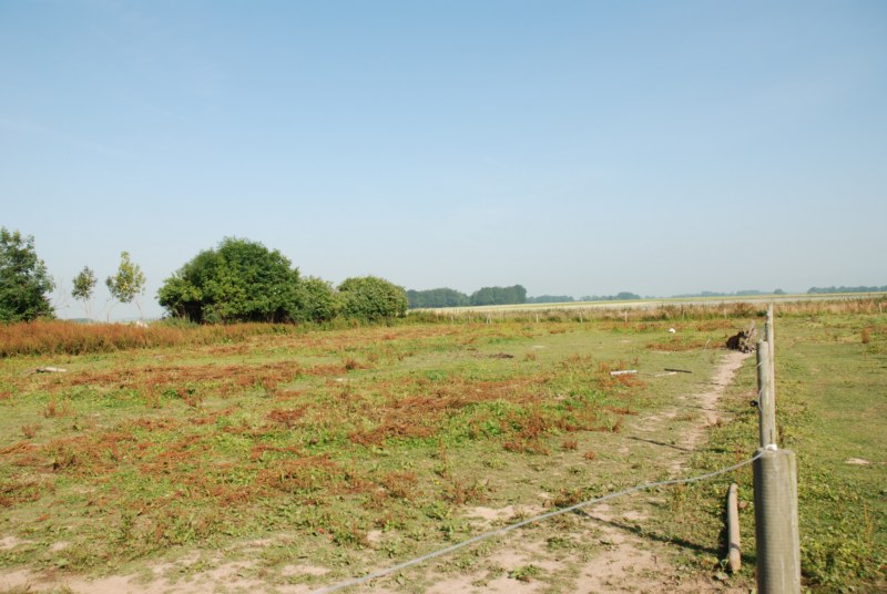 Nos prestations sur le secteur de Rouen 76 en Seine-Maritime