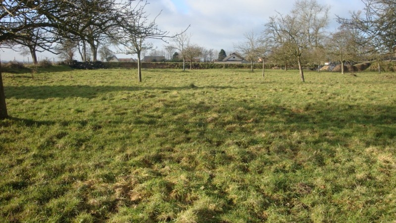 Nos prestations sur le secteur de Fécamp 76 en Seine-Maritime 